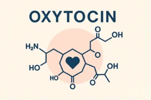 Oxytocin love hormone