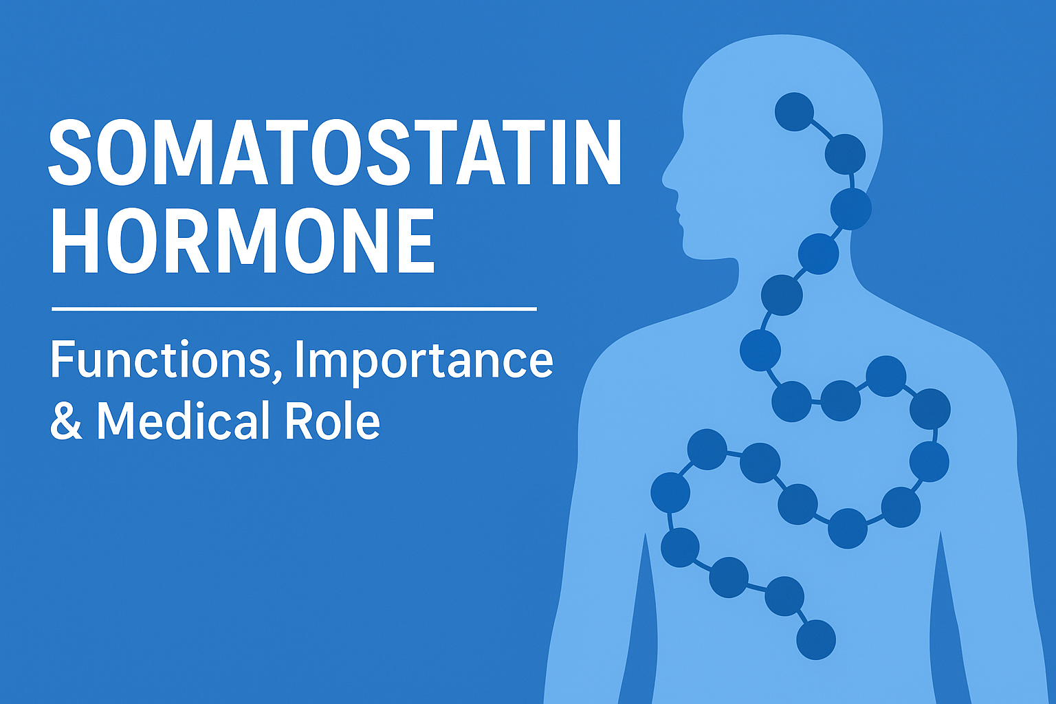 Somatostatin Hormone: Functions, Importance & Medical Role