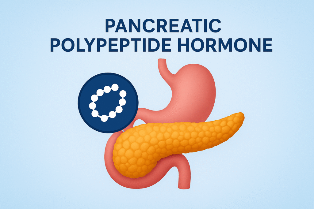 Pancreatic Polypeptide Hormone: Functions, Role and Importance